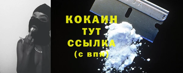 шишки Магадан