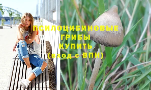 гашик Магас