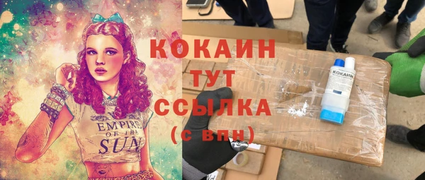 шишки Магадан