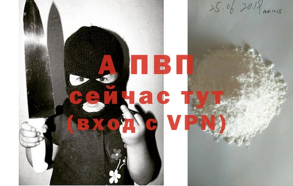 шишки Магадан
