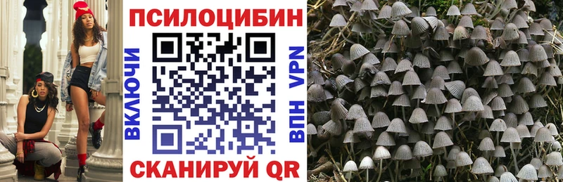 Псилоцибиновые грибы прущие грибы  сайты даркнета какой сайт  Урай 