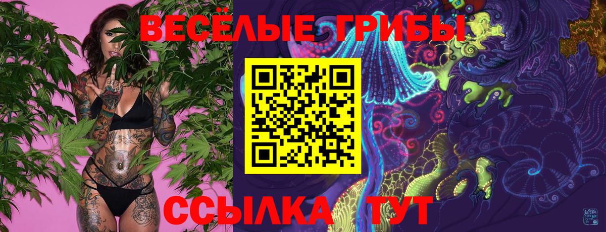 Урай  купить наркотик  Вход с VPN  Галлюциногенные грибы Magic Shrooms  Псилоцибиновые грибы ЛСД 